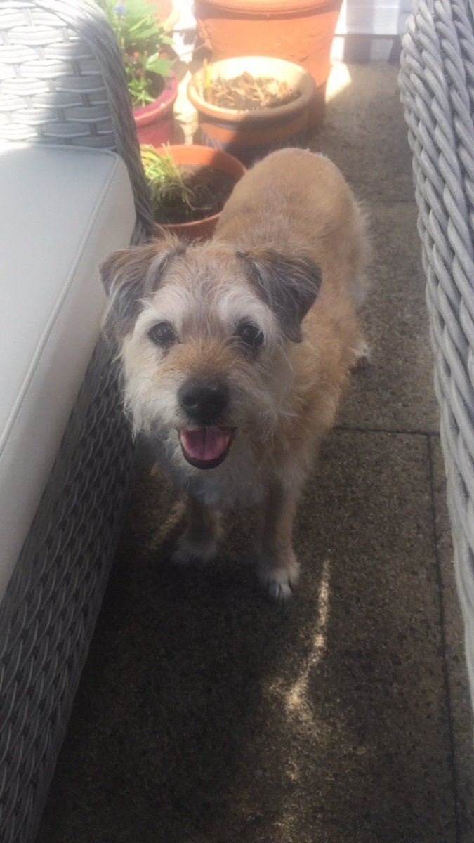 SnoopBT's tweet photo. Happy #TongueoutTuesday pals. Missing this happy handsome face 💔#btposse https://t.co/XukVIUIQQT