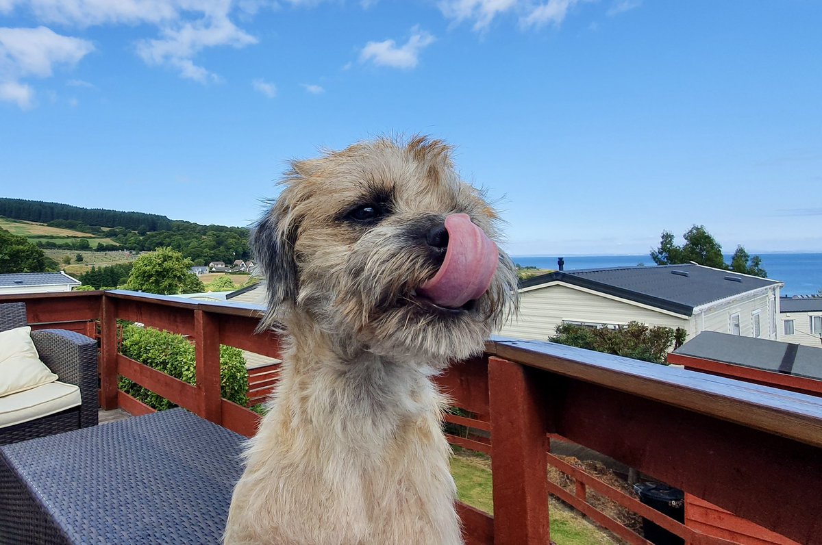 lmcb1231's tweet photo. A holiday #TongueOutTuesday from Kevin 😜 #btposse https://t.co/WmOkGmbhot