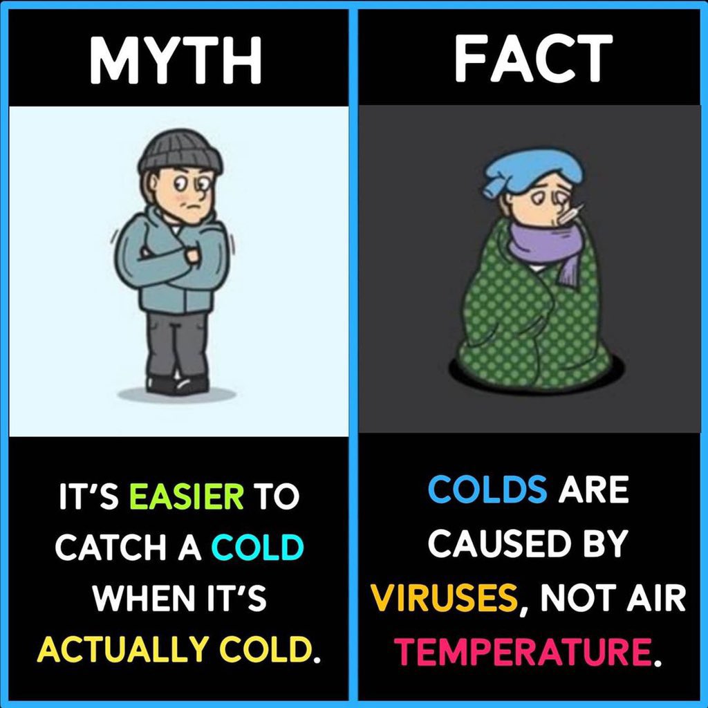 mythsvssfact's tweet image. 
