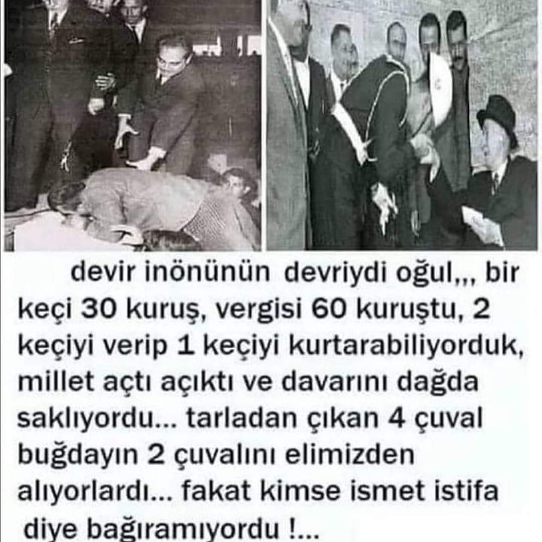 Ulan bunun elini öpeceğime eşeğin şeyini öpim daha bundan helaldir