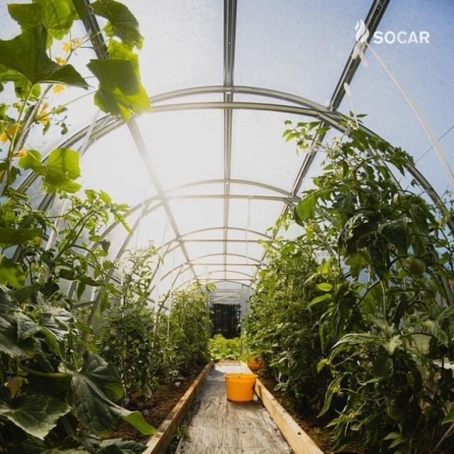 SOCARofficial's tweet photo. #SOCAR və Cənubi Qafqaz Boru Kəməri (#CQBK) üzrə tərəfdaşları növbəti sosial layihəyə start verdi. #ProFarms layihəsi 2023-cü ilin fevralına kimi davam edəcək və Kürdəmir, Ağdaş, Ucar və Yevlax rayonlarında yerləşən 20 kəndi və 200 fərdi fermer təsərrüfatını əhatə edir. https://t.co/29LtlPaiDr