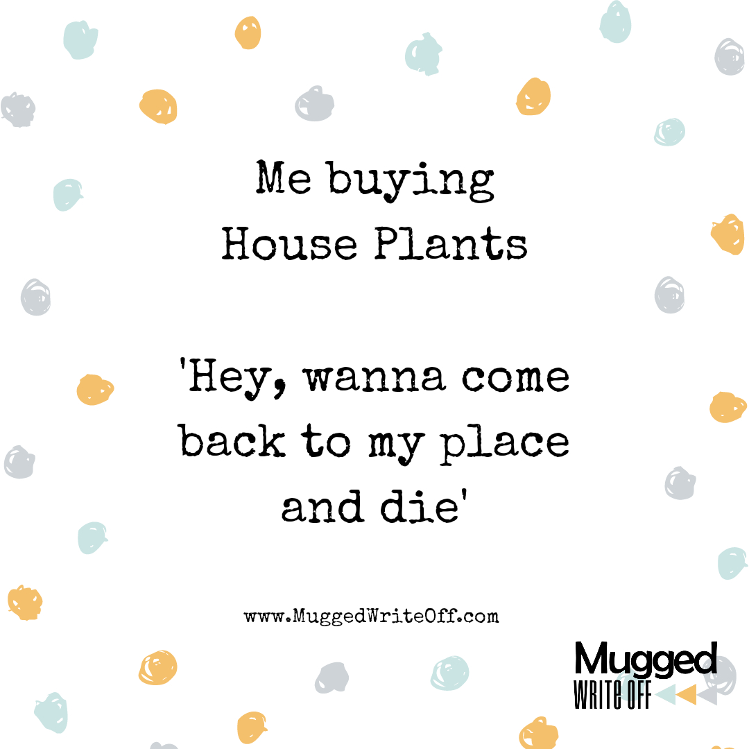 I love the Plant Life 🪴 But unfortunately the plant life does not like me 🌱 🙄

#plantlife #greenfingered #wishIcould #grower #whatyougrowing #plantlifedidntchooseme #somerset #plantyourown