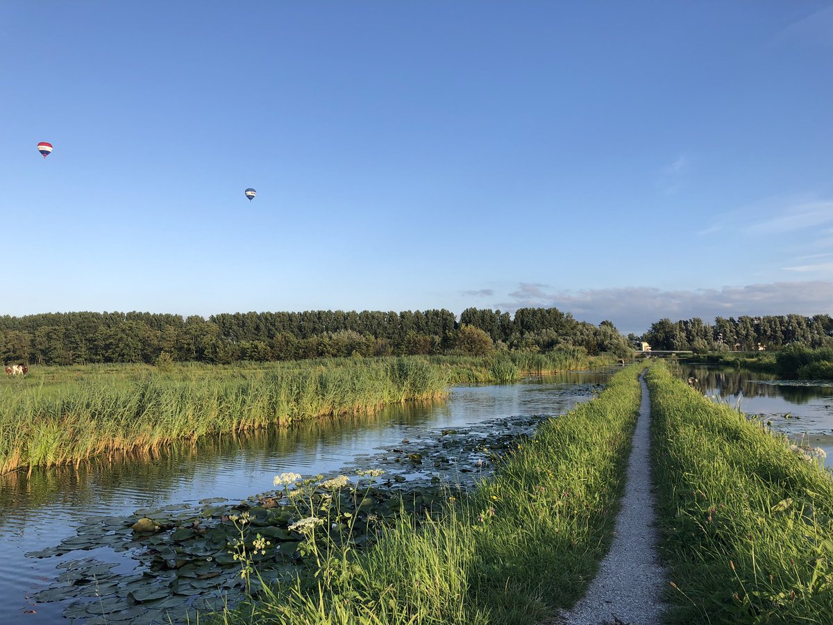 Groenehartstoc1's tweet photo. Zomeravond wandeling door Polder Bloemendaal #winterdijk #Gouda #Waddinxveen https://t.co/7NxXmHepFp