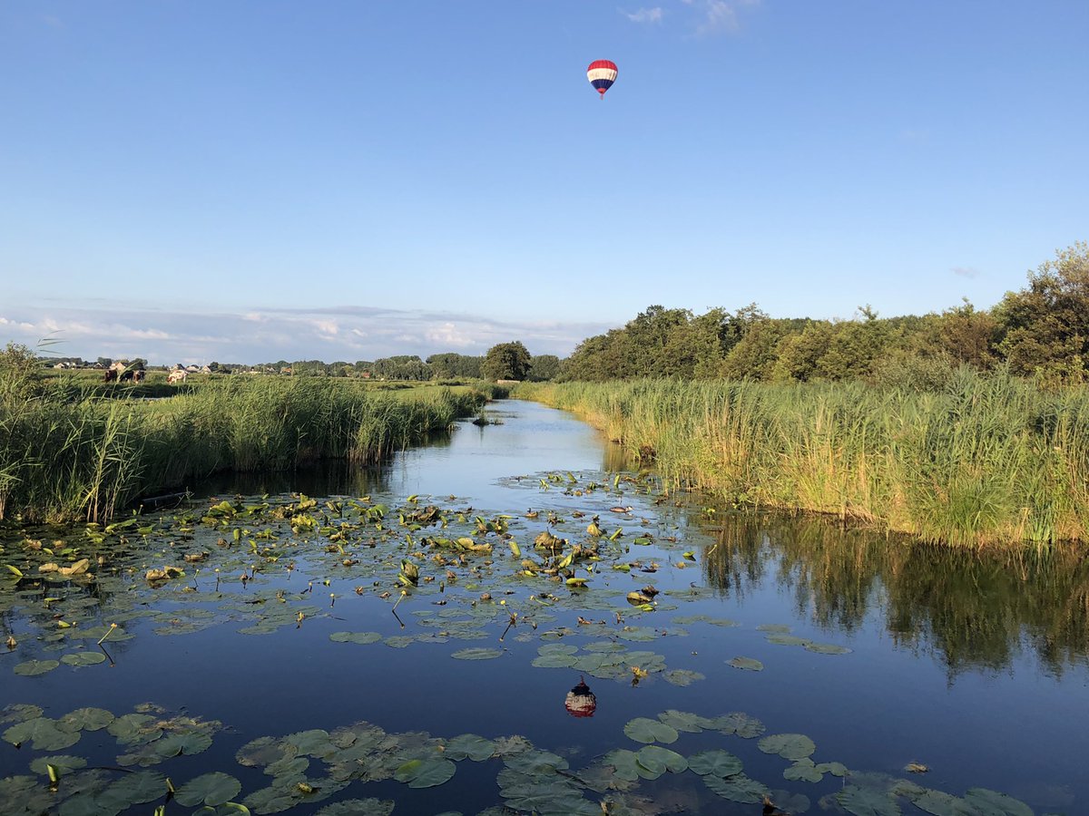 Groenehartstoc1's tweet photo. Zomeravond wandeling door Polder Bloemendaal #winterdijk #Gouda #Waddinxveen https://t.co/7NxXmHepFp