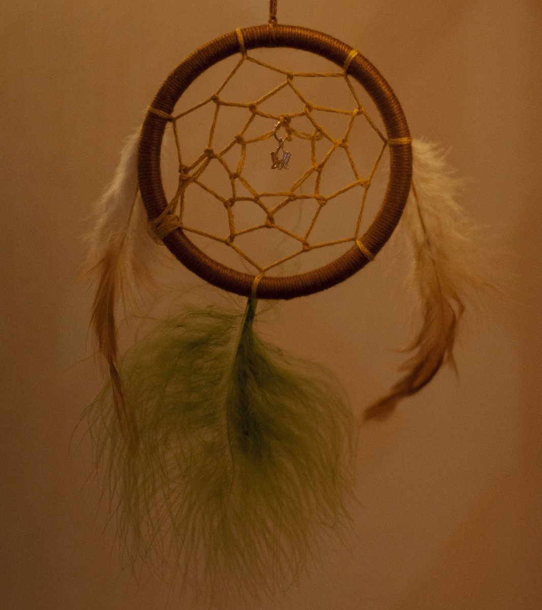 AnnaLucyPixels's tweet photo. My dreamcatcher! Plastic base, floss threads, gold pendant, feathers.

#Dreamcatcher #handmade https://t.co/mhAl4jcsSw