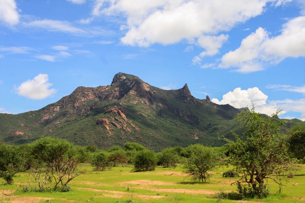 metumilibrary's tweet photo. Mount Forole (1887m) is set towards the edge Central Northern Kenya, north of the Huri Hills and it's peak marks the Kenyan-Ethiopian border. https://t.co/PBV2nf9kf8
