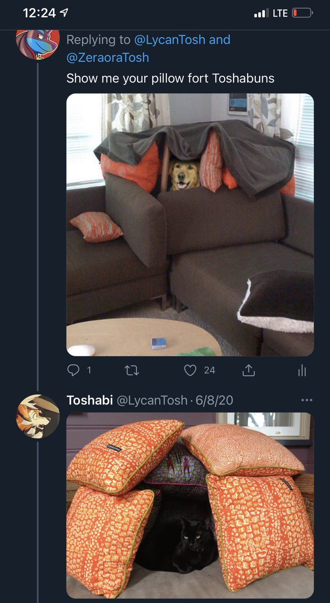 MikeO on Twitter "So sad what happened to pillowfort. Once, a