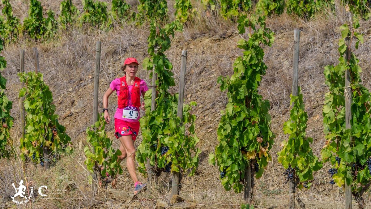 MaratódelPriorat tweet media