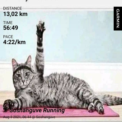 coach_mokibelo's tweet photo. I'm present for Tuesday run #RunningWithTumiSole #RunningWithLulubel #FetchYourBody2021 #STAYHEALTHY #loveyourself #Fitness #statfit #HERBALIFENUTRITION_24 https://t.co/C1AHvUYYUZ