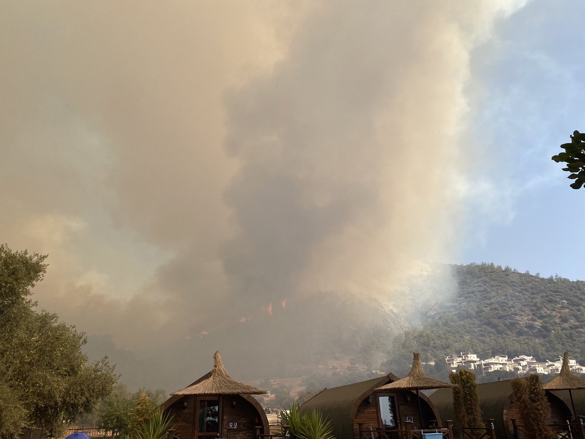 Eyvah…
Yangın kritik eşiği aştı ve siteler tarafına geçti.
Böyle olacağı belliydi…
Sinirimden ağlayacağım…