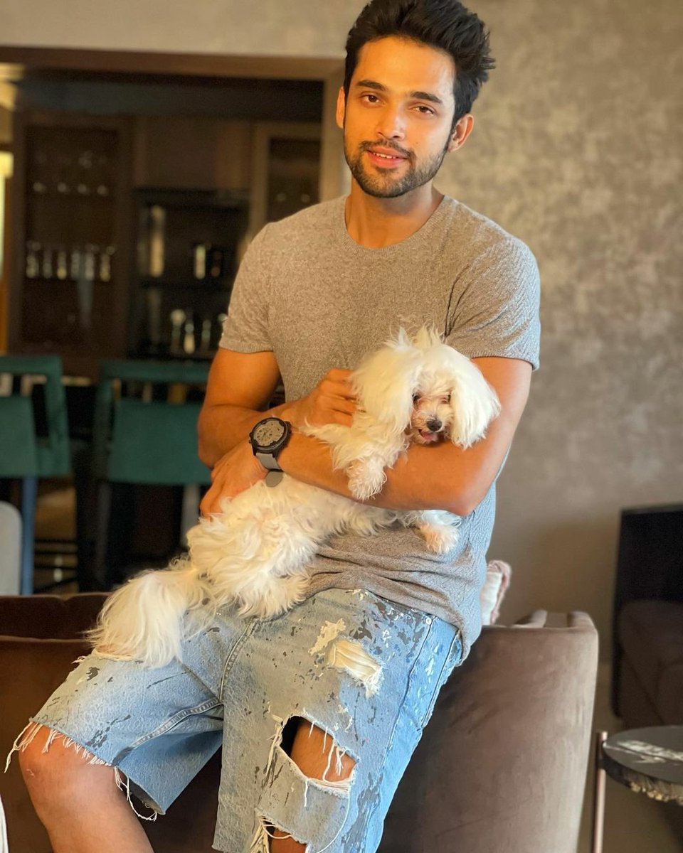 mrsanuragbasu's tweet photo. When u forcefully make your pet pose for a picture😫 #giggygang ❤️🐣🤘🏻 
#notsocandid

~ @LaghateParth on Instagram ♥️

#ParthSamthaan https://t.co/4a3uOSTaOr
