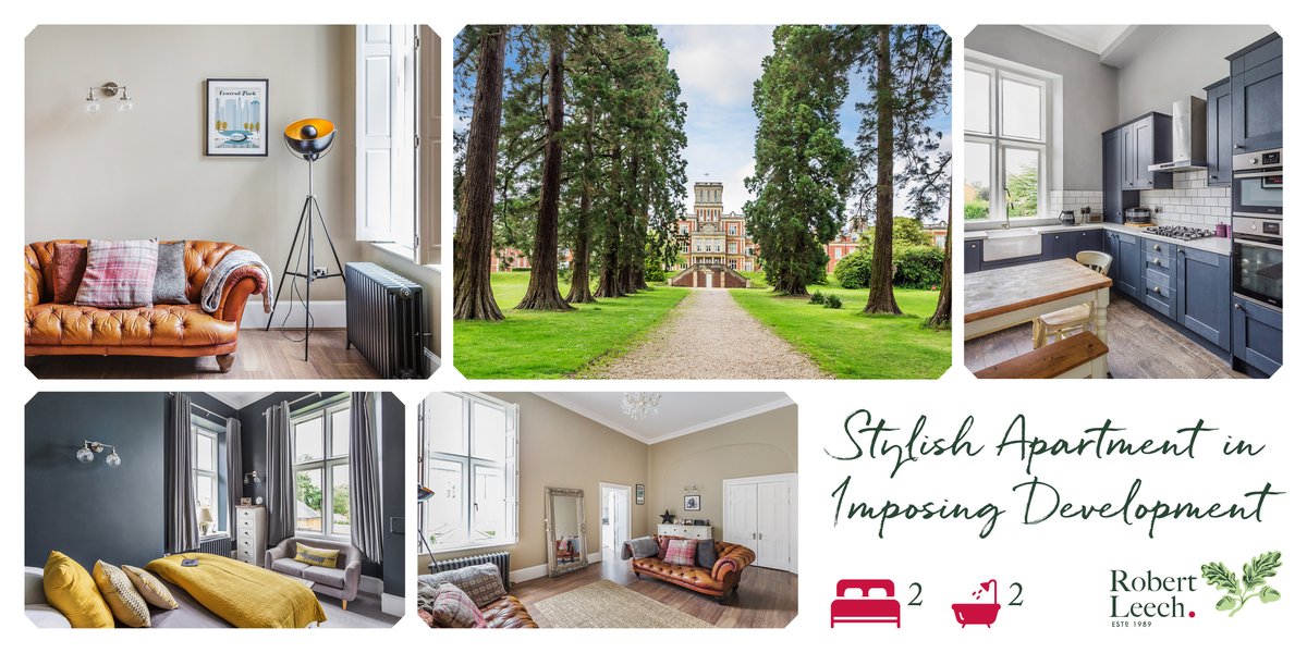 Robert Leech tweet media