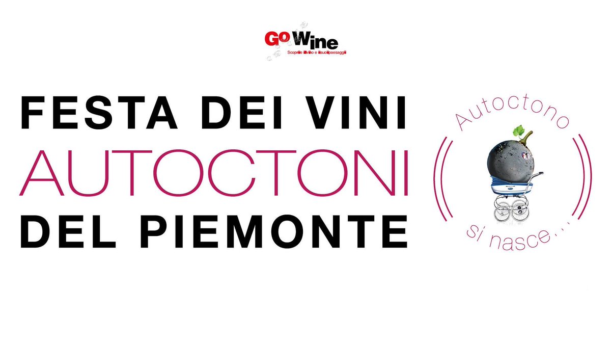 GoWine5's tweet image. SABATO 28 AGOSTO | Centro storico di Alba
Una degustazione originale dedicata alla valorizzazione del grande patrimonio di vitigni autoctoni del Piemonte: in degustazione vini espressione di oltre 35 vitigni piemontesi!
Prenotazione OBBLIGATORIA a 💬 stampa.eventi@gowinet.it