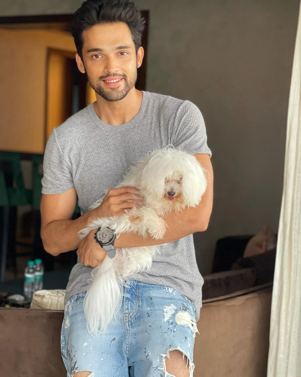 deepshikha3061's tweet photo. When you forcefully make your pet pose😫 #giggygang ❤️🐣🤘🏻
#notsocandid

@LaghateParth IG Post ♥️💕

Look at these two Adorable Cuties Awww ❤❤😍😍😘😘

#ParthSamthaan https://t.co/doHqyDvG8b
