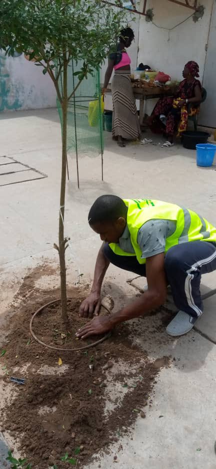 EarthGambia's tweet photo. The Banjul inner city Greening project aim at beautifying the city’s landscape, adapting to the climate crises &amp; preventing coastal erosion has started. If you would like to volunteer, join the team every weekend to contribute towards the city’s sustainability. https://t.co/mywocQIxQ5
