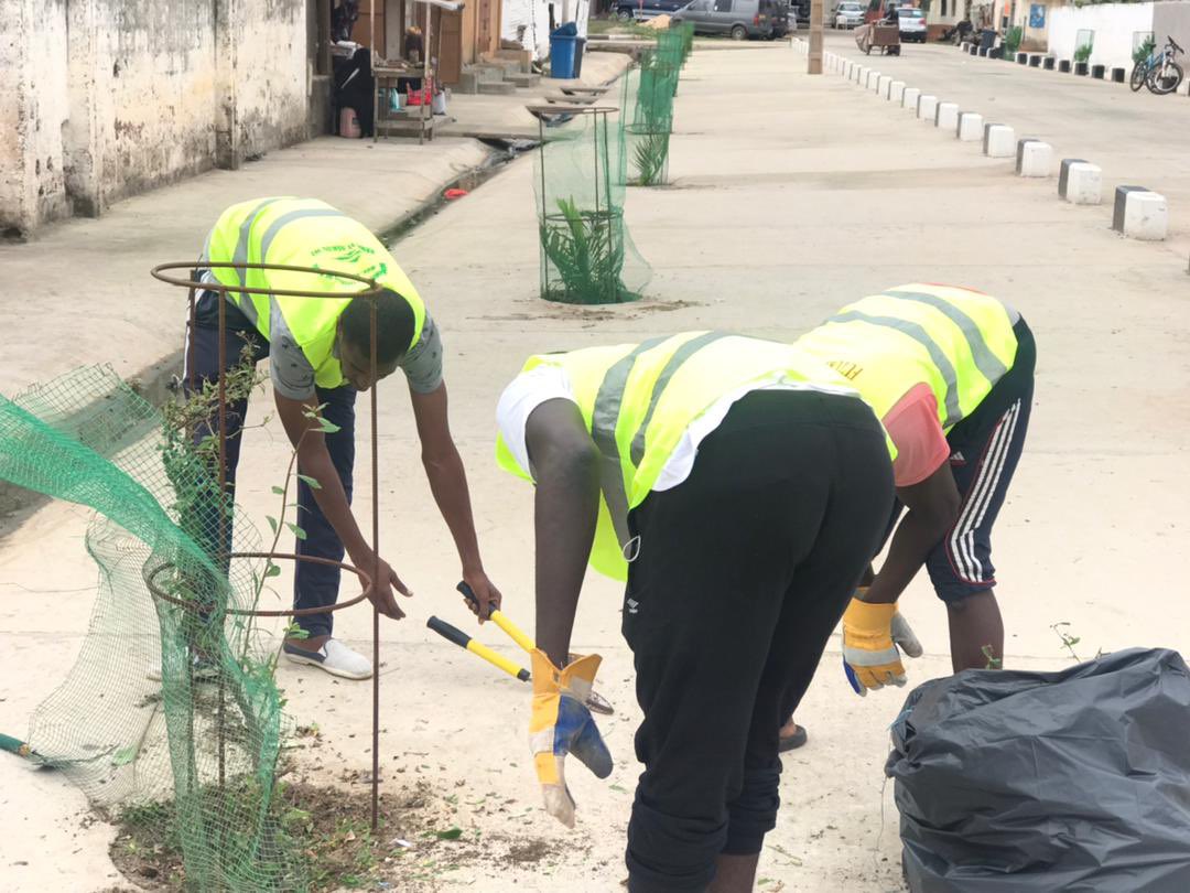 EarthGambia's tweet photo. The Banjul inner city Greening project aim at beautifying the city’s landscape, adapting to the climate crises &amp; preventing coastal erosion has started. If you would like to volunteer, join the team every weekend to contribute towards the city’s sustainability. https://t.co/mywocQIxQ5
