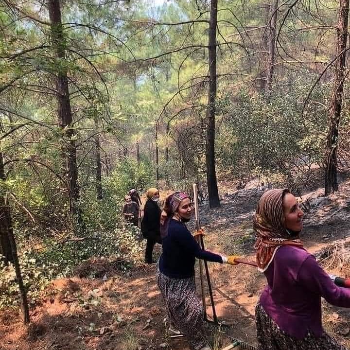 Bakın Anadolu mücahit kadinlari hani o fahişe kokanalar sahillerde çırılçıplak yüzyorlar şimdi ama Türkiye nin kaymakini onlar yiorlar