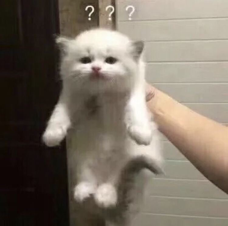 โคดดุ