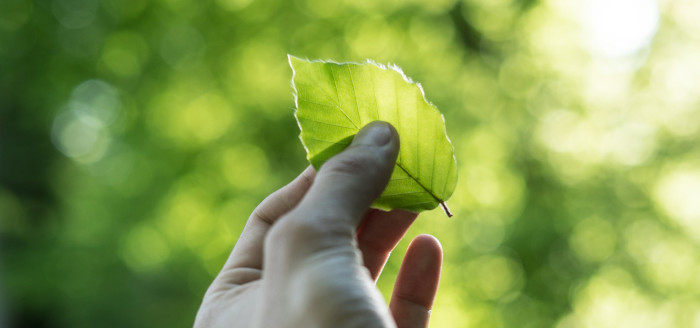 #NorthernIreland in response to your survey suggestions via our members' hub we're going #green with a survey dedicated to #Sustainability and the #Environment. Landing in your inbox this week along with more chances to win! Not a member yet? Join in at workshopplay.ie