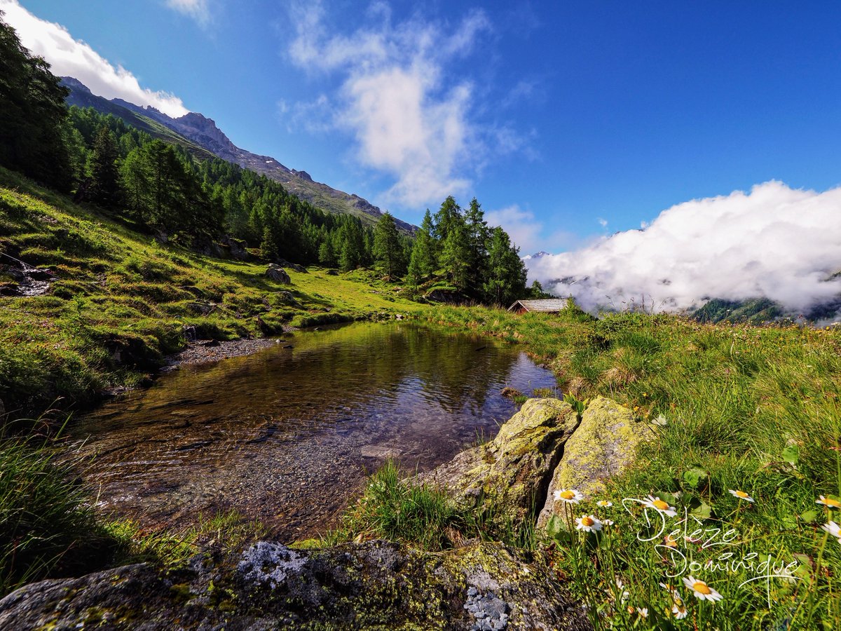 Au cœur des montagnes, petit paradis, Mandelon🤩
#valdherens #valais #suisse #swiss #switzerland #inlovewithswitzerland #ineedswitzerland #landscapephotography #photooftheday #photography #paysage #views #mountains #naturephotography #hiking #travel <a href="/MySwitzerland_f/">Suisse Tourisme</a> <a href="/valaiswallis/">Valais/Wallis</a>