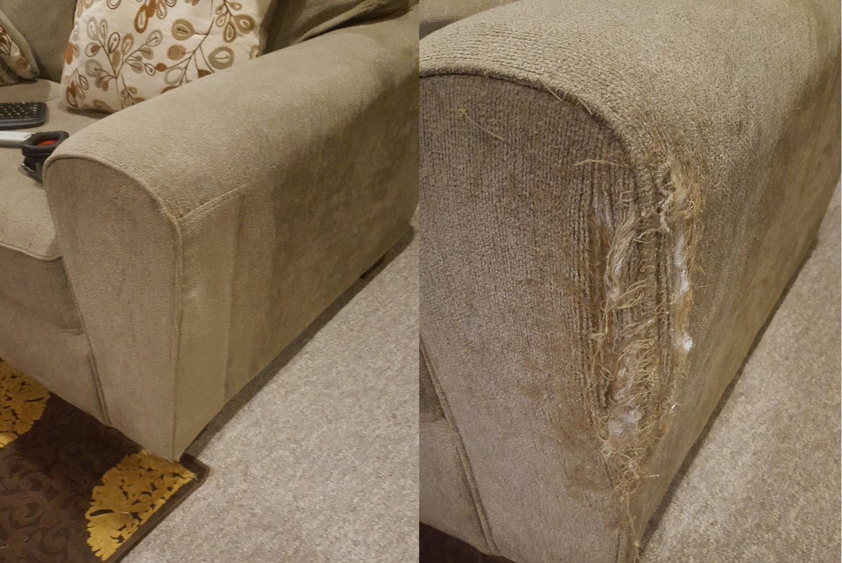 Jennifer_Lewis8's tweet photo. I come home from a TEN hour shift just to find out my brand new sofa is a scratched up by my cat!!! MARLIN!!! https://t.co/XYuIrMloKL