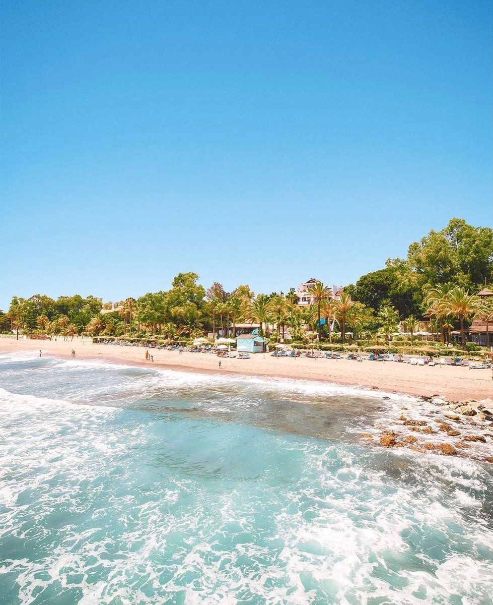 Puerto Azul Marbella tweet media