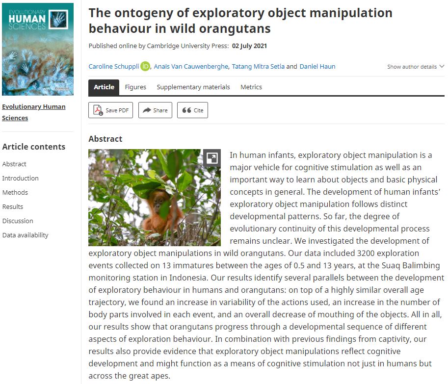 Journal_EHS's tweet image. New article 🚨
'The ontogeny of exploratory object manipulation behaviour in wild orangutans' cup.org/2TOJ31o
by Caroline Schuppli et al.
#exploration #ObjectManipulation #orangutans
#cognitive #development #research #article #openaccess