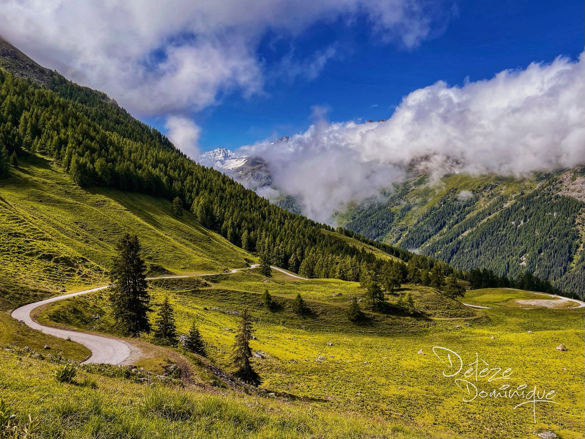 Petite route de montagne, Mandelon 💞💞
#valais #suisse #swiss #switzerland #inlovewithswitzerland #ineedswitzerland #landscapephotography #photooftheday #photography #paysage #views #mountains #naturephotography #hiking #travel <a href="/MySwitzerland_f/">Suisse Tourisme</a> <a href="/valaiswallis/">Valais/Wallis</a> <a href="/valdherens/">Val dherens Tourisme</a>