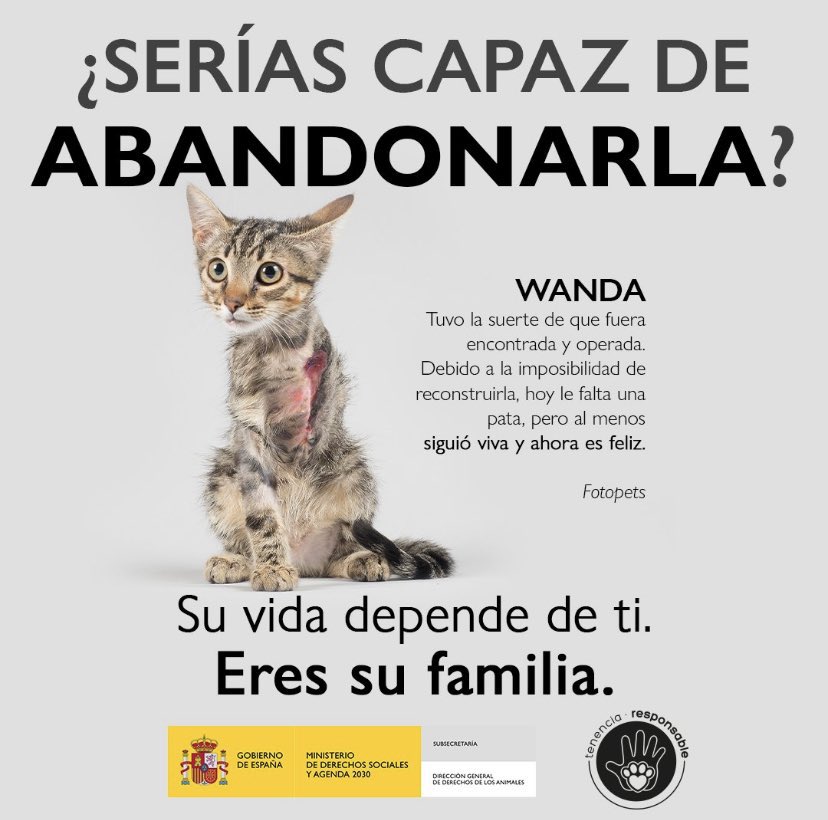enGatadas_AB's tweet photo. ERES SU FAMILIA.

Ese es el concepto que hay que tener claro antes de adoptar/acoger a un animal

Y tu pregunta antes de adoptar/acoger debe ser ¿si entra en casa, es familia?

Si la respuesta es SÍ ¡adelante!
porque para quien lo es, NO abandona.

¡No son mascotas, son familia! https://t.co/LOY5tf1D7j
