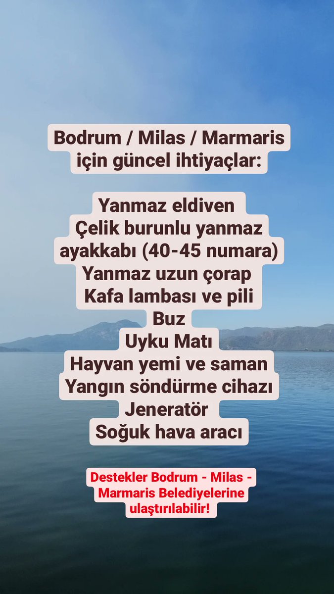 Gizem Karaca Kızgır (@gizemkaraca) on Twitter photo 