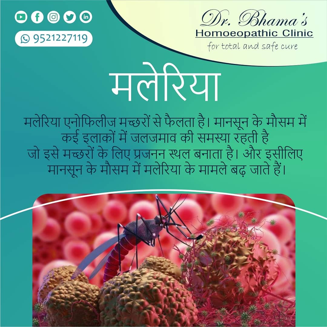 DrBhamasHomoeo's tweet photo. Be cautious of monsoon diseases!
Stay healthy
Stay fit
#malaria
#mosquito
#anopheles
#monsoon 
#monsoondiseases
#homoeopathy  
#onlineconsultations 
#oncallconsultation 
#drbhamashomoeopathicclinic 
#homoeoatyourdoor 
#doctors 
#homoeopaths 
#drsanjeevbhama 
#drjyotibhama https://t.co/uMqQj6Yx3n
