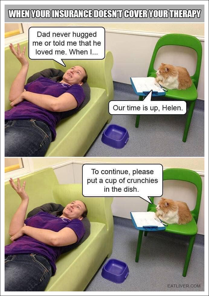 HQ Therapy tweet media