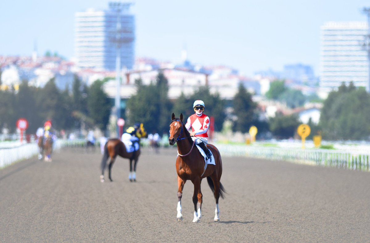 Haydi #LightOfDarkness Bu zor günlerde bir parça yüzümüzü güldür🙏