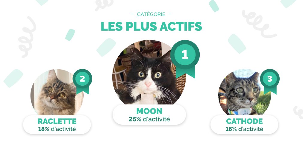 HerdingCats8's tweet photo. Pour clôturer l’opération #HerdingCats x Frontline #PetCare : le bien-être de mon #chat, voici un #podium 🏆 de l’#activité de nos stars ! 😺
#MyPetAgency #FrontlinePetCare
#tracking #study #ethology #catdata #leaderboard https://t.co/kmBNCUMVBV