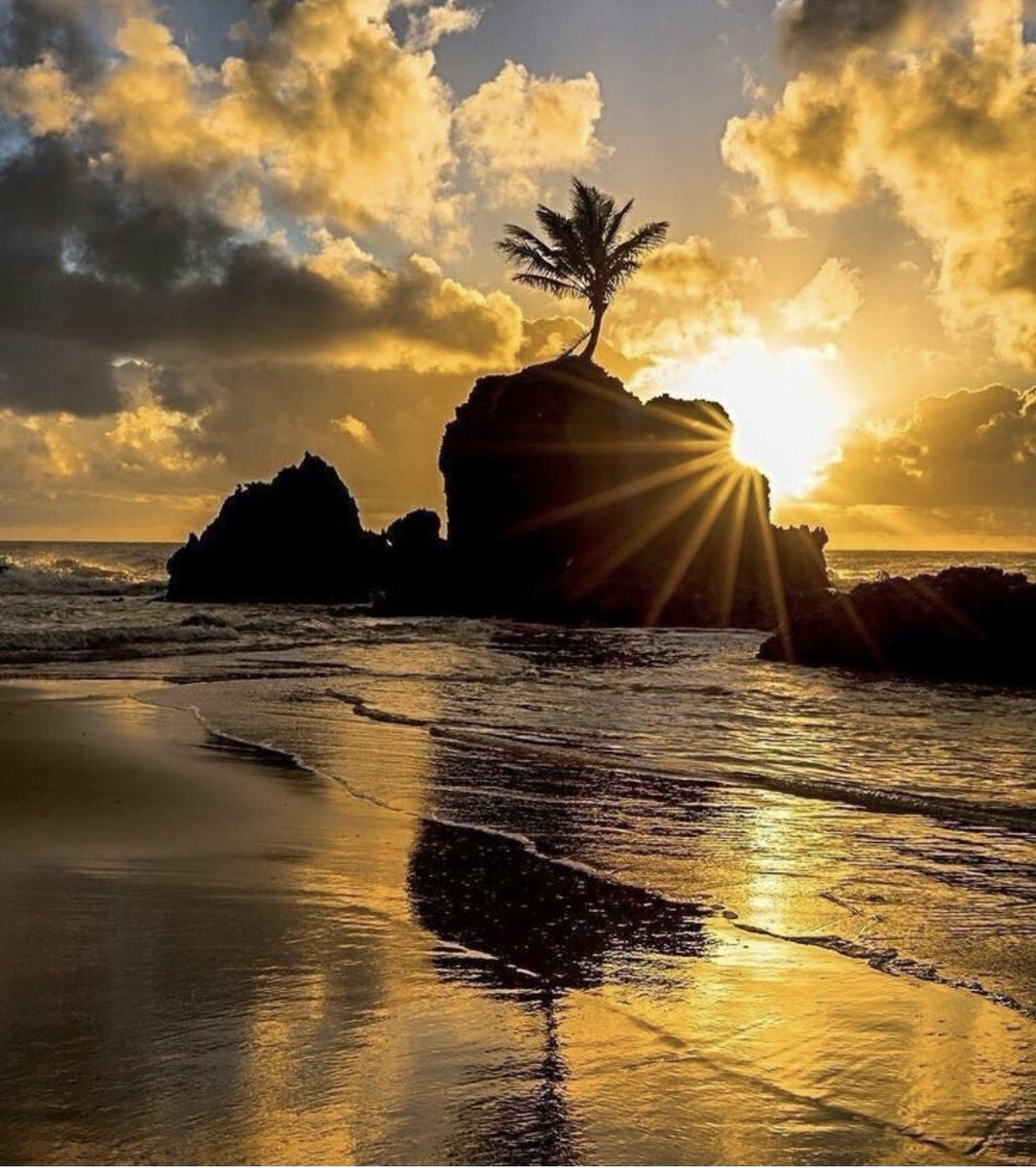 Nice and beautiful 🎶💋💯😘❤️🎶🎉