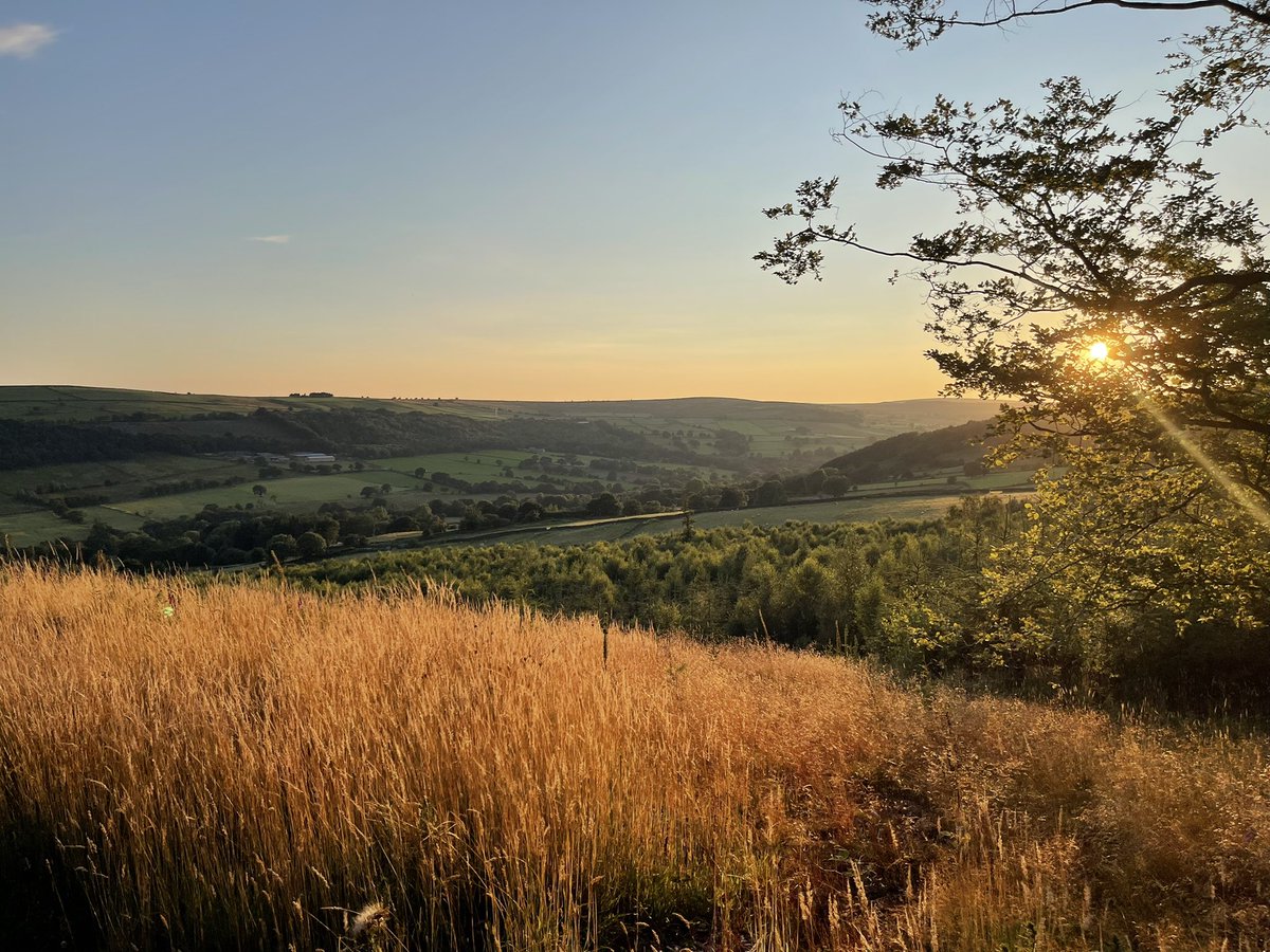 David Bailey DLG tweet media