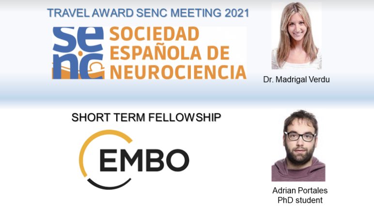 📣We are proud of <a href="/LabSjurado/">SJurado_LAB</a>’s members Dr. Pilar Madrigal and PhD student Adrian Portales, both recipients of a SENC Travel Award and an <a href="/EMBO/">EMBO</a> Short Term Fellowship, respectively. Many congratulations! <a href="/EMBOFellows/">EMBO Fellows</a> <a href="/CSIC/">CSIC</a> <a href="/UniversidadMH/">UMH</a>