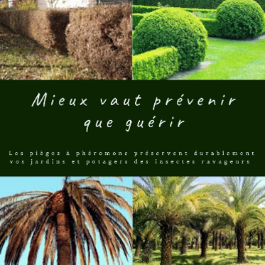 GreenControl_'s tweet image. Tous nos conseils pour l&apos;entretien biologique du jardin ☘️
 Sur notre boutique en ligne : green-control.fr