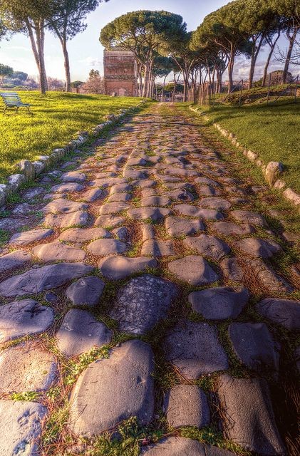 Roman History tweet media
