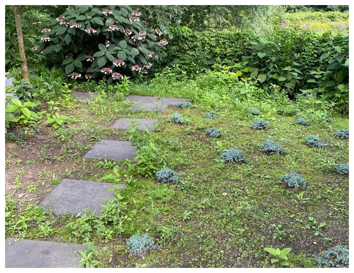 Help! Het onkruid groeit ons boven het hoofd… 🌱

Gezocht: vrijwilligers met groene vingers die onze tuinploeg komen versterken. 
facebook.com/ronaldmcdonald… 

#vrijwilligersgezocht #tuinploeg #tilburg #KeepingFamiliesClose