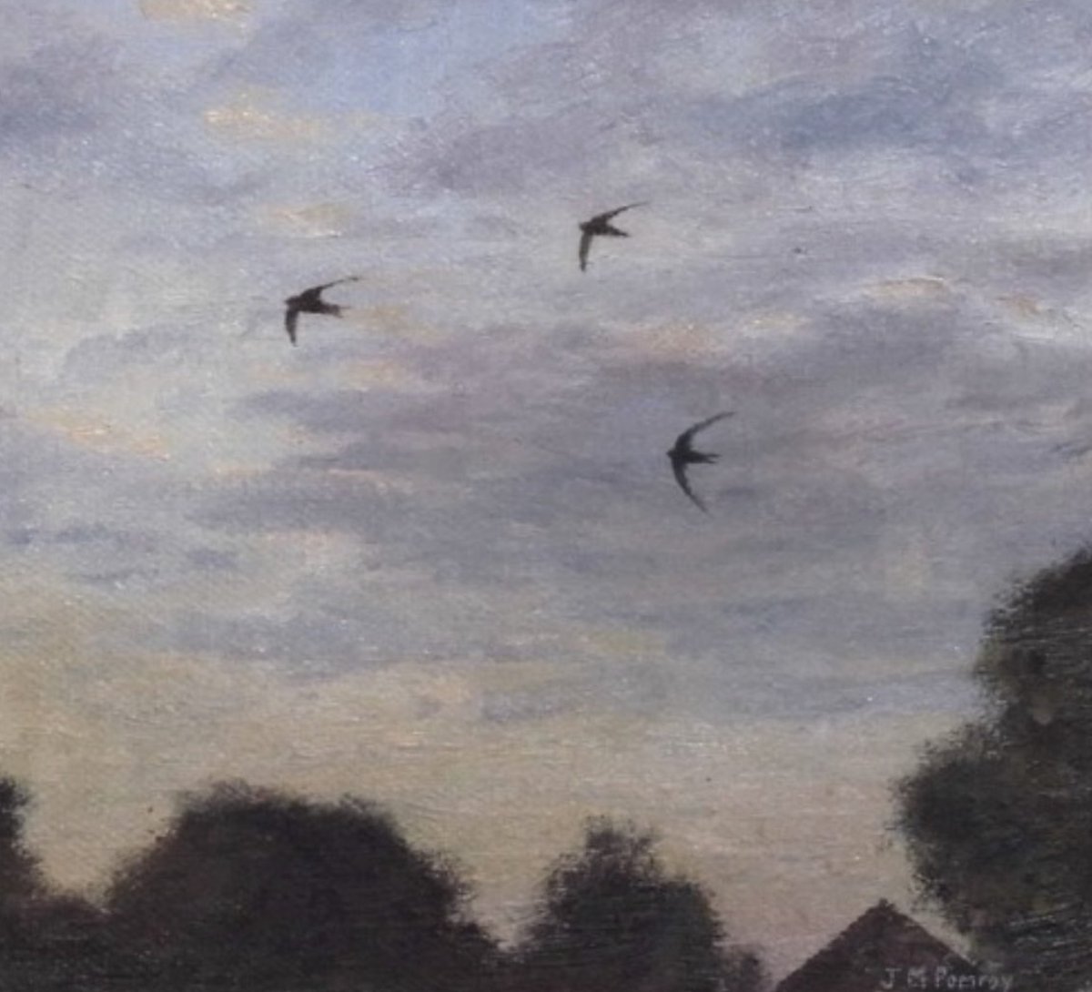 AnneLouiseAvery's tweet photo. It was very still &amp; the sky was the dull silver of a mermaid's mirror. The swifts who nested in the thatch were leaving that night, flying to Madrid, then south, south, south across the Sahara, carrying tales of Old Fox’s cottage, tales of love, of sickness, of fear, of hope. https://t.co/6z1mhNKxVX
