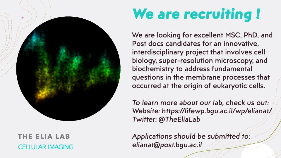 The Elia Lab tweet media