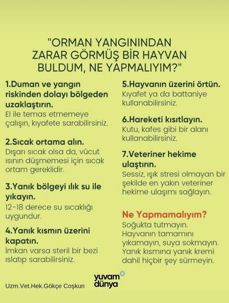 müthişdostlar (@maskofshape) on Twitter photo 