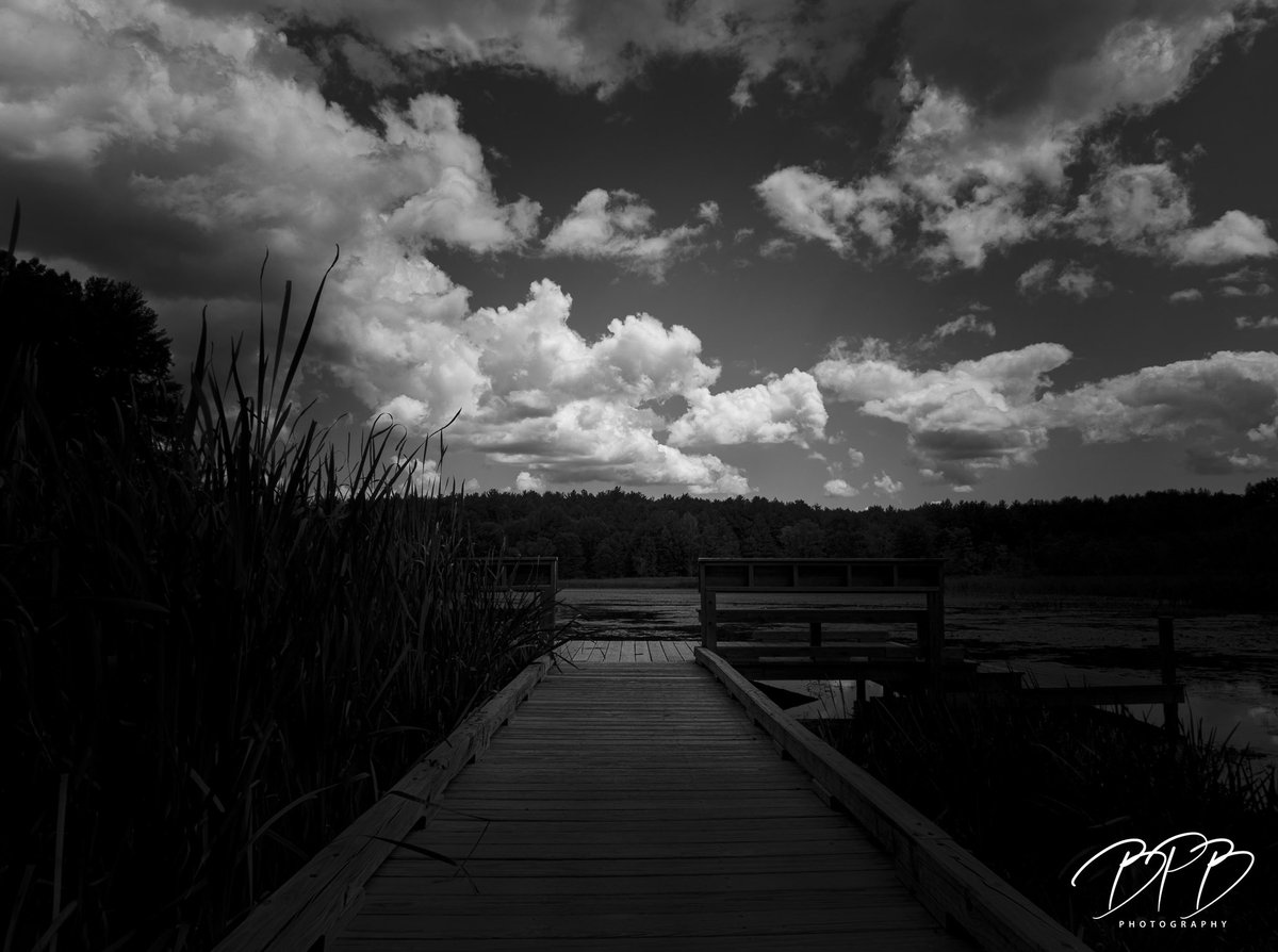 Cloudscape, Fitzgerald Lake, Northampton MA. #bpbphotography #rebel_bnw #blackandwhitephotography