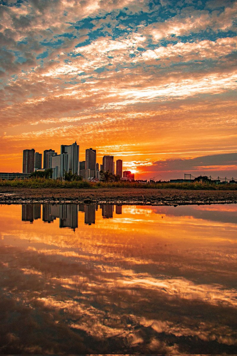 雨上がり、夕暮れ頃。