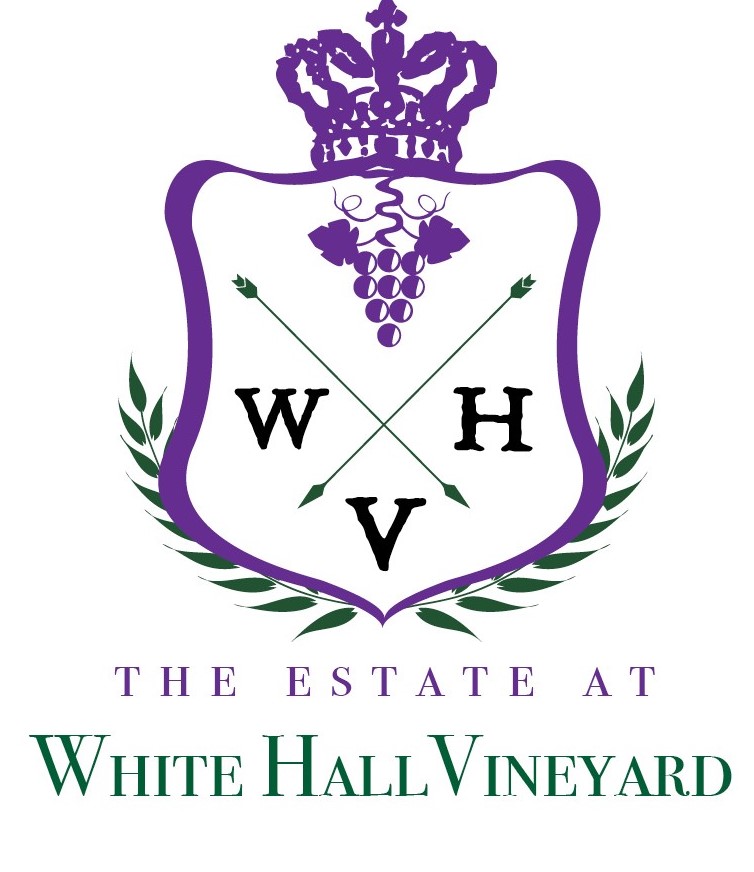 Moya's Cuban Creations will be at The Estate at White Hall Vineyard today (8/8) from 1-7 pm. Come see us!

Location: 3668 White Hall Rd, King George, VA 22485