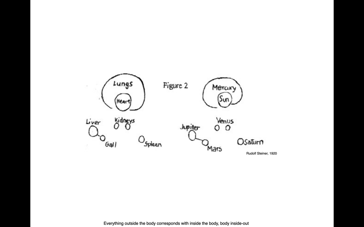 ahardmind's tweet photo. Thus, everything outside the body corresponds with inside the body, body inside-out. Previous mythologies originating with the #Body, and the 12 organs of #chi/#prana, #yin/#shakti, and #yang/#shiva of #Chinese and #Hindu #cosmologies are from whence Systems diverged. https://t.co/Igto32GLO1