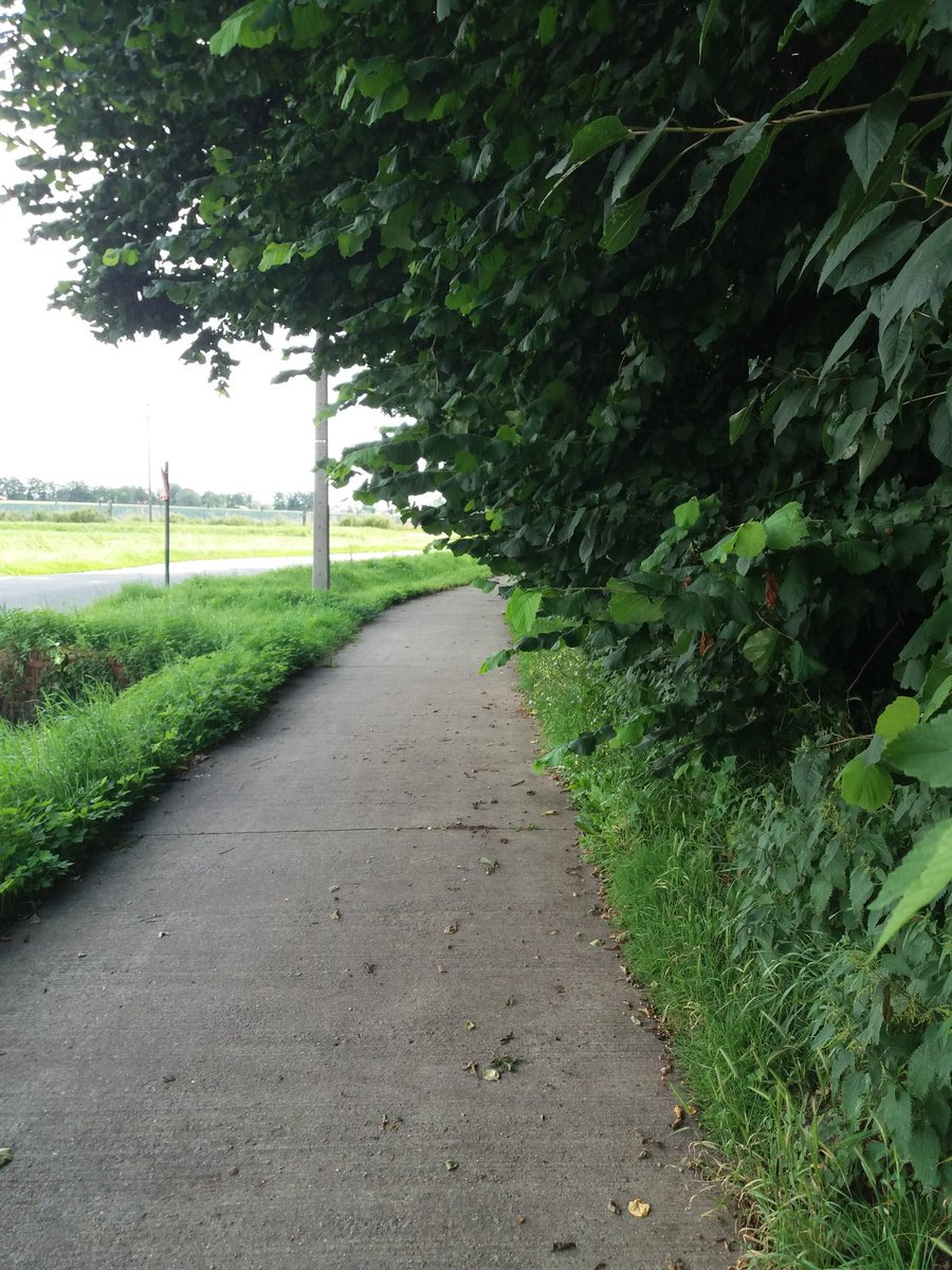 Annie_Debr's tweet photo. @StadHarelbeke het is elke keer spannend of er een fietser zal opduiken achter de draai op het fietspad in #tweerichtingen in de Muizelstraat. Hopelijk komt het niet tot een valpartij. #groenonderhoud. https://t.co/2JHxGxXVRm