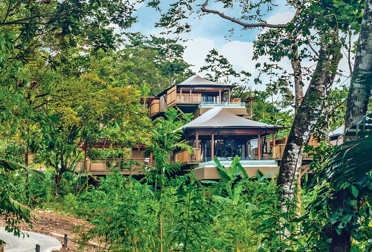 Florida Design tweet media