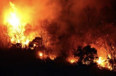 Altmışlı yaşlarımı sürüyorum. Onca kitap okudum, filmler seyrettim, şehirler gezdim, farklı diller ve kültürler öğrendim ama bende böyle bir kötülük bilgisi yok. Tarihin neresindeyiz?
